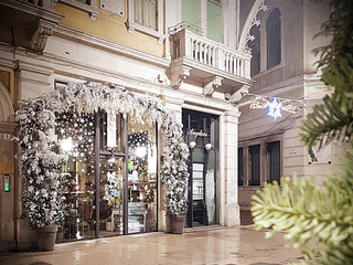 White Christmas - Fioreria Alloniv Galleria Matteotti